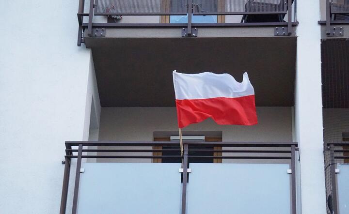 Flaga Polski / autor: fot. Fratria