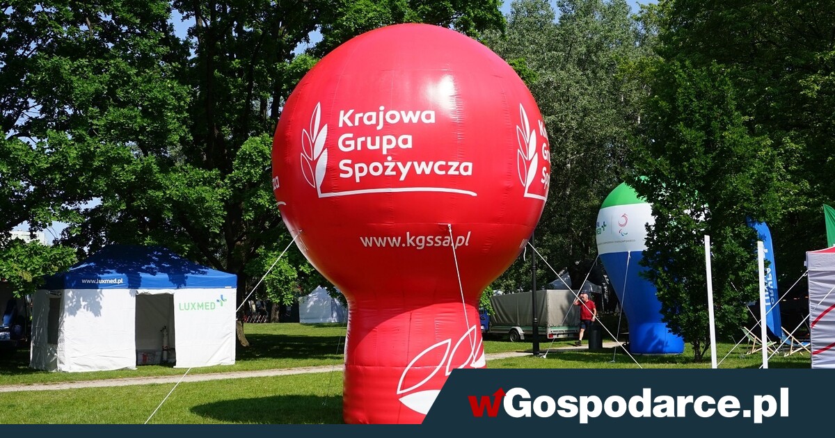 W KGS stary nowy prezes
