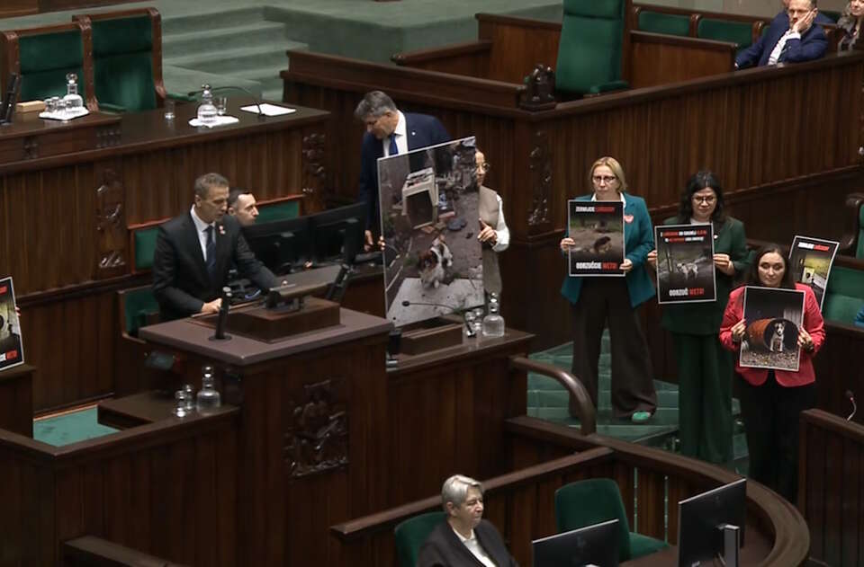 Cyrk w Sejmie! Tak zachowały się posłanki!