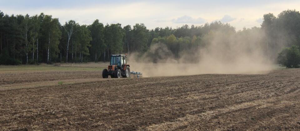 Rolnictwo, zdjęcie ilustracyjne / autor: Fratria