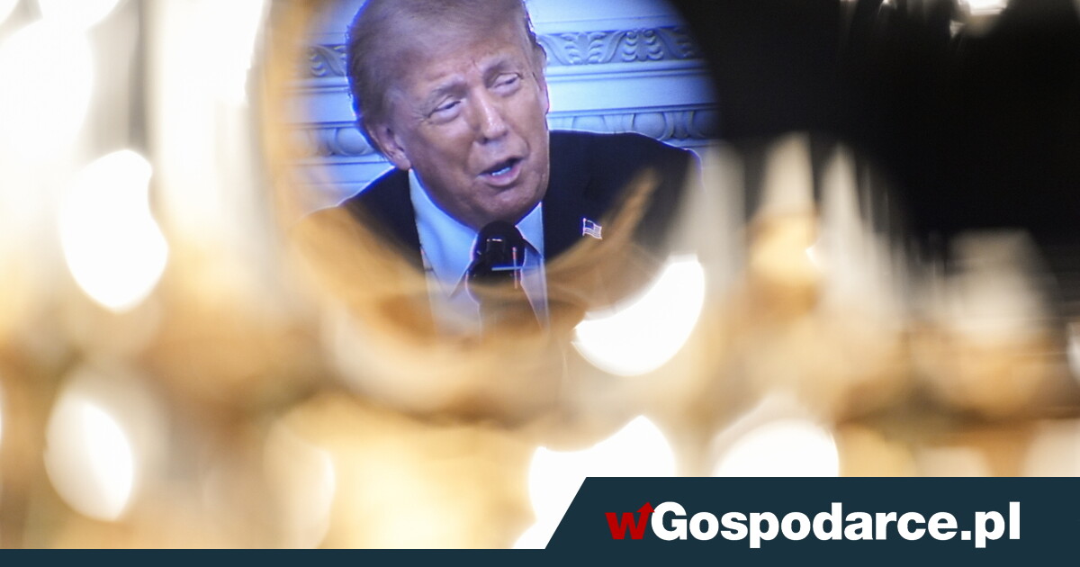 „Wołodymyrze, czy jesteś w stanie uderzyć w Moskwę?"