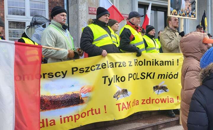 Protest przed Pomorskim Urzędem Wojewódzkim w Gdańsku wsparli pszczelarze / autor: Fratria / AC