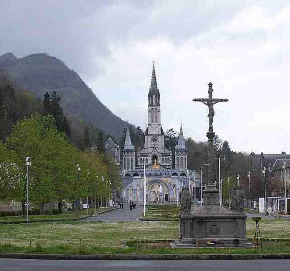 fot: CCWikimedia
