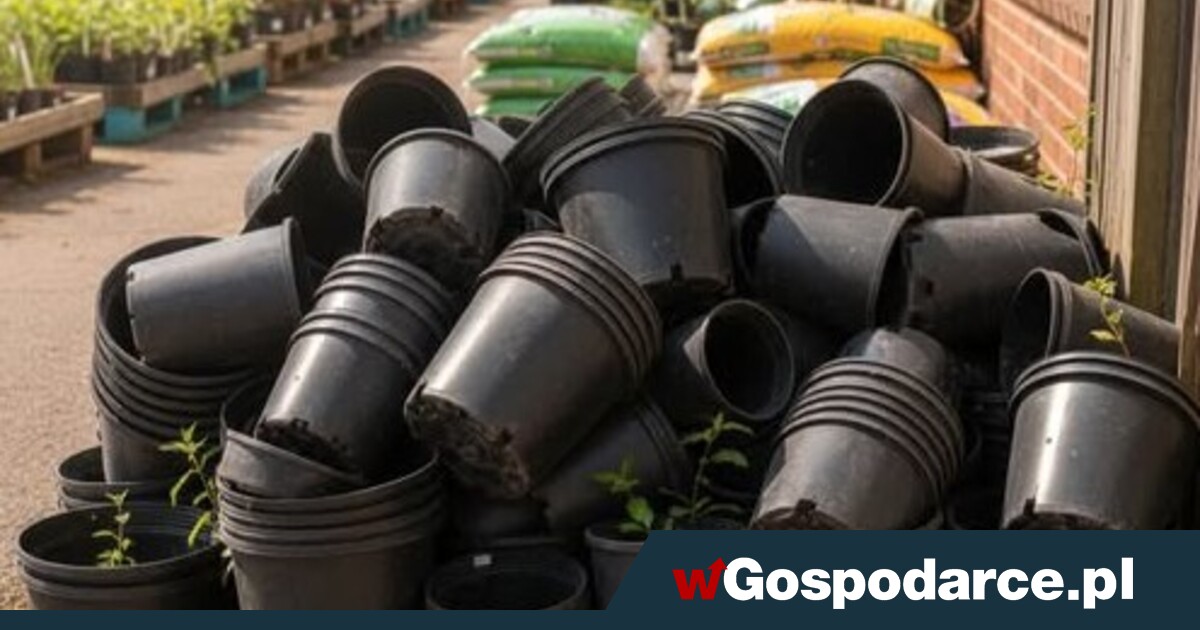 Unijny zakaz dla plastikowych doniczek. Jakie produkty są wycofywane?