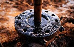 zdj. ilustracyjne / autor: Pixabay