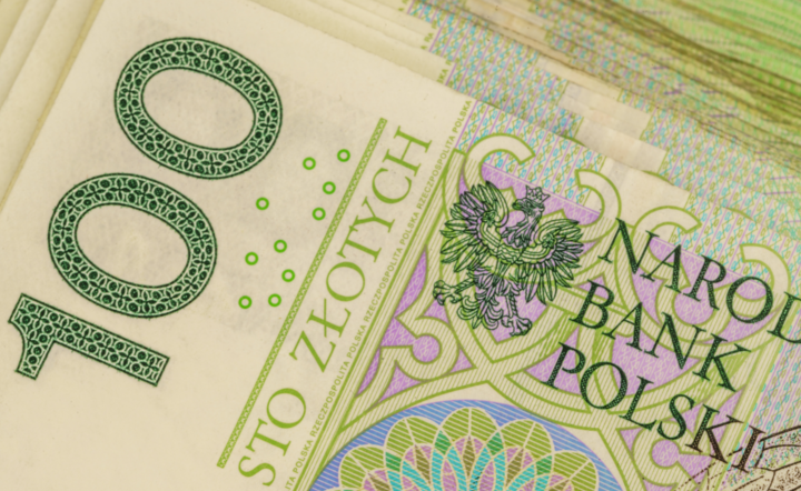 banknoty NBP / autor: Fotoweb Fratria