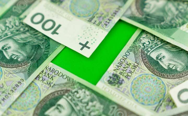 Prof. UEP, dr hab. Eryk Łon: wzmacniając polskie spółki wzmacniamy polski kapitał w naszej gospodarce / autor: Fratria / AS