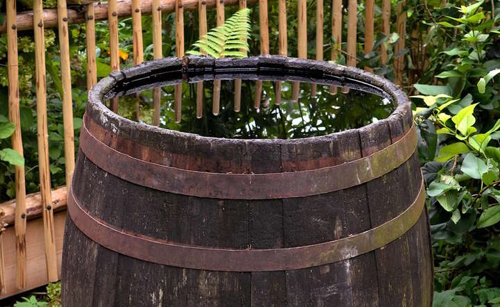 Dofinansowanie na "deszczówkę". Rusza nabór wniosków