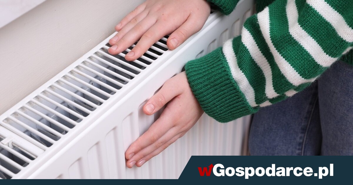 Ubóstwo energetyczne? O 560 zł więcej za tonę węgla