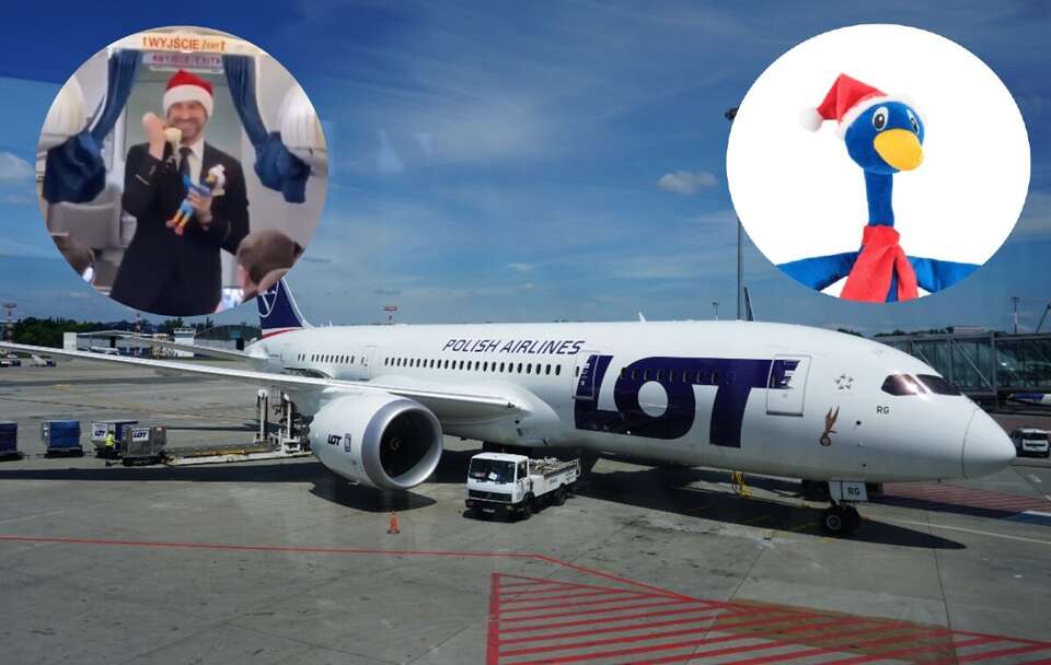 Steward Łukasz z LOT-u podbija sieć! / autor: Fratria/X/LOT