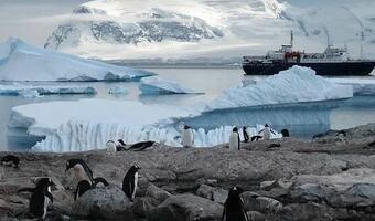 Eksperci ostrzegają przed rosnącymi wpływami Chin na Antarktydzie