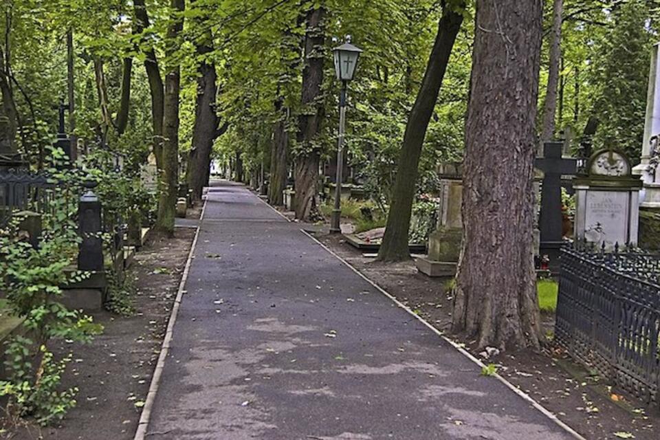 fot. wikimedia commons, autor: Andrzej Hiolski, lic. GDFL