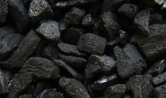 PGG zwiększa zysk na węglu