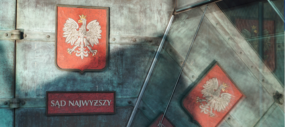 autor: wPlityce.pl 