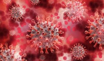 WHO: Indyjski szczep COVID-19 wywołuje szczególny niepokój