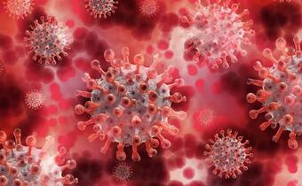 WHO: Indyjski szczep COVID-19 wywołuje szczególny niepokój