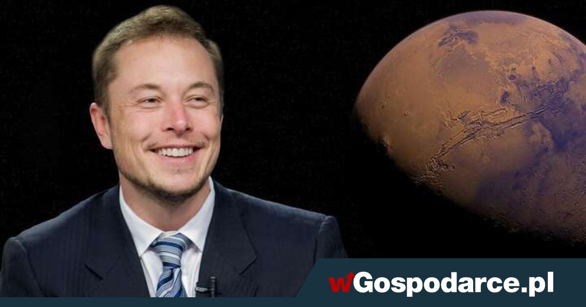 Elon Musk oferuje X Money. Konto z oprocentowaniem 6 proc.!