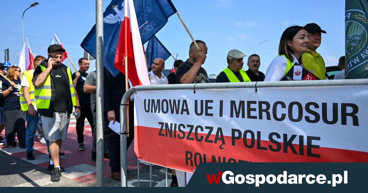 Rolnicy w rozpaczy. „Dramatyczny spadek opłacalności”