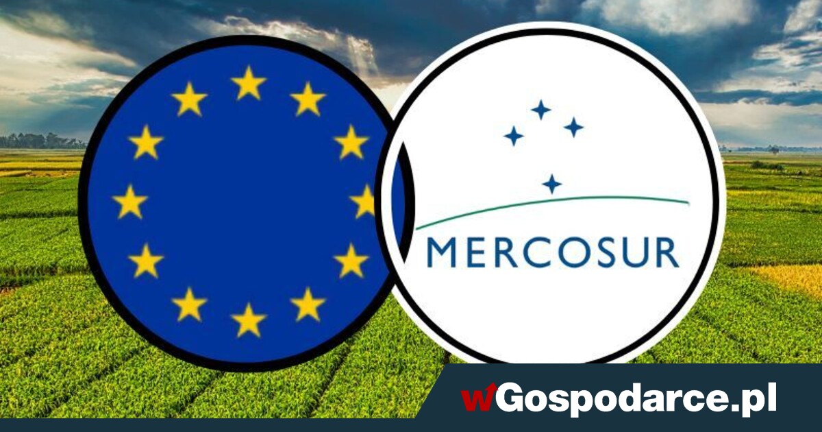 Hodowcy boją się umowy z Mercosur