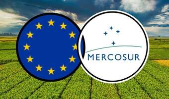 Hodowcy boją się umowy z Mercosur