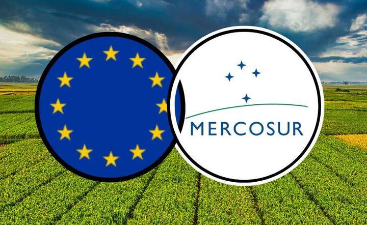 Chcemy polskiej żywności, ale nie chcemy jej produkcji obok siebie. / autor: italianfacts.com