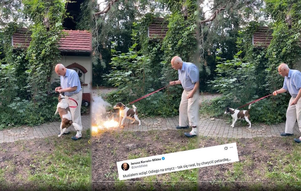 Korwin-Mikke znów to zrobił! "Tak się rwał, by chwycić petardkę"