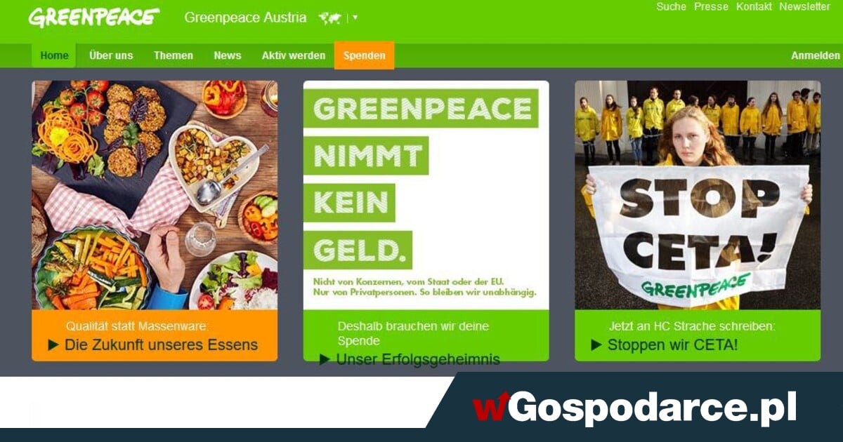 Dlaczego w zarządzie Greenpeace Polska nie ma Polaków?