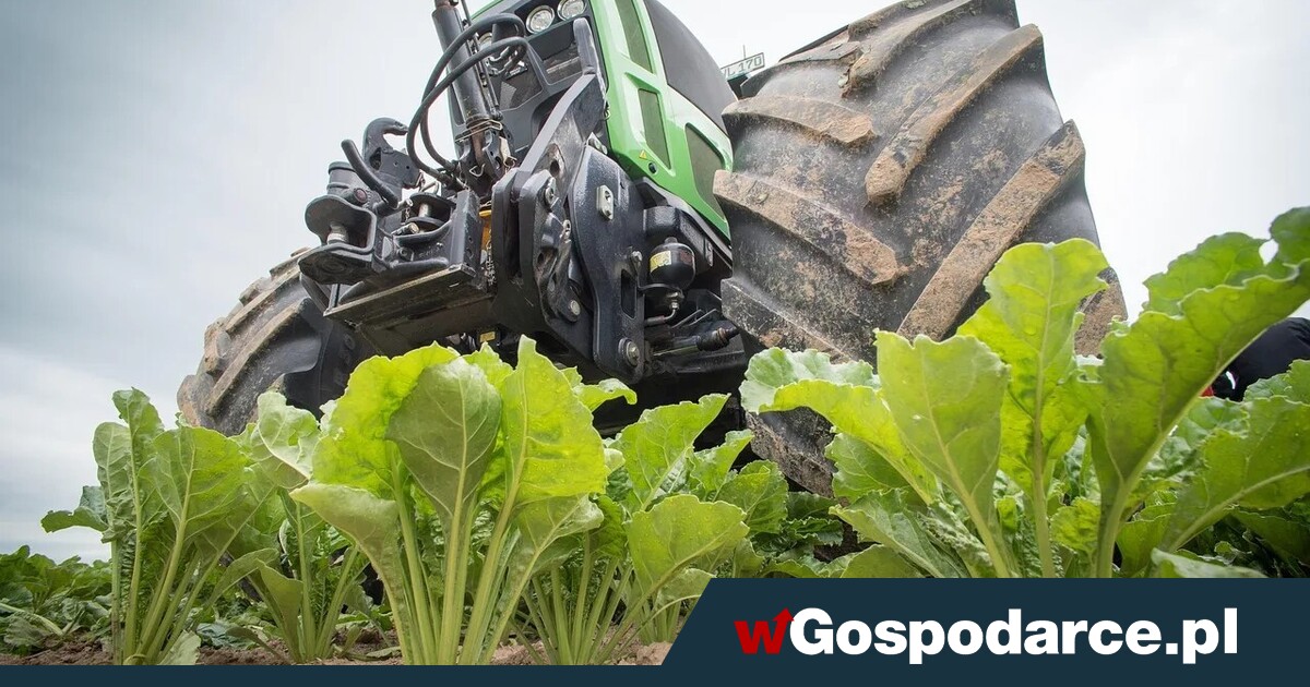 Będzie tymczasowa umowa z Mercosur?