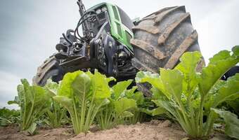 Będzie tymczasowa umowa z Mercosur?