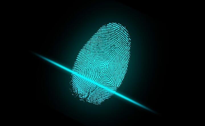 biometria / autor: pixabay
