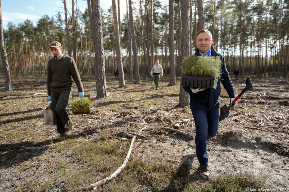 2020.04.22 - Bączki k/Garwolina / autor: Jakub Szymczuk/KPRP