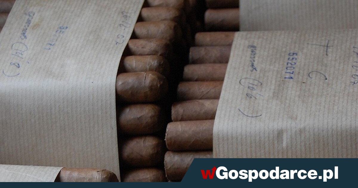 Niewolnicza praca za 6 euro miesięcznie