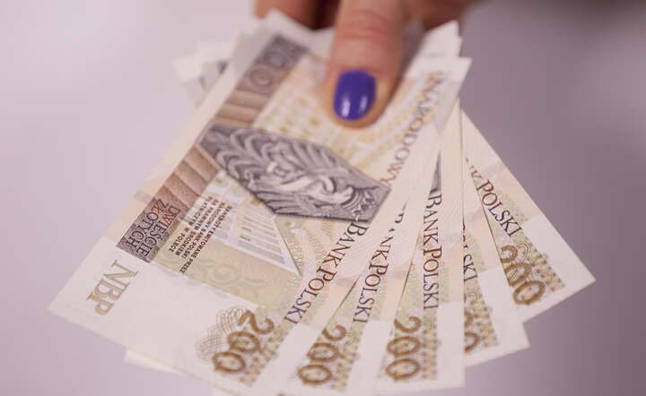 Bez gotówki wiele z mikrofirm w Polsce przestałoby istnieć / autor: materiały prasowe NBP