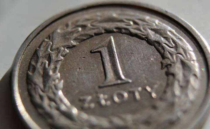 Zloty / autor: Pixabay