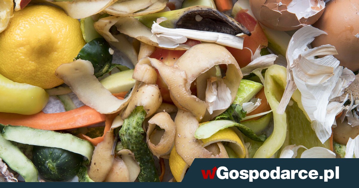 Koniec worków na bioodpady! Latem smród będzie nieznośny