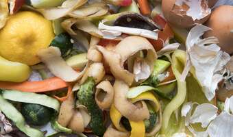 Koniec worków na bioodpady! Latem smród będzie nieznośny