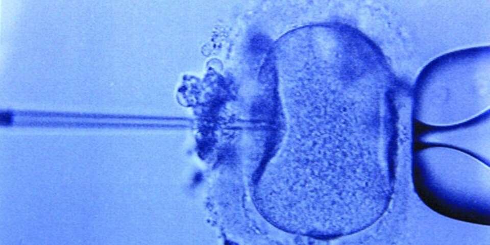 fot. ruchnarodowy.org