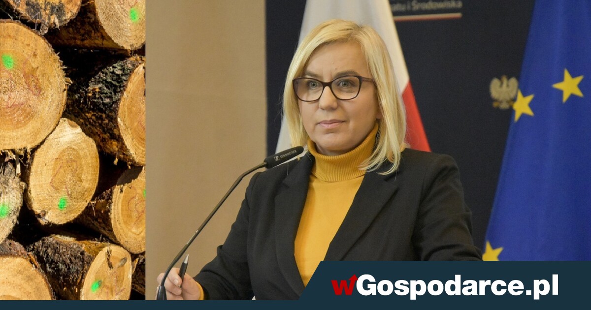 Wielkie unijne oszustwo energetyczne