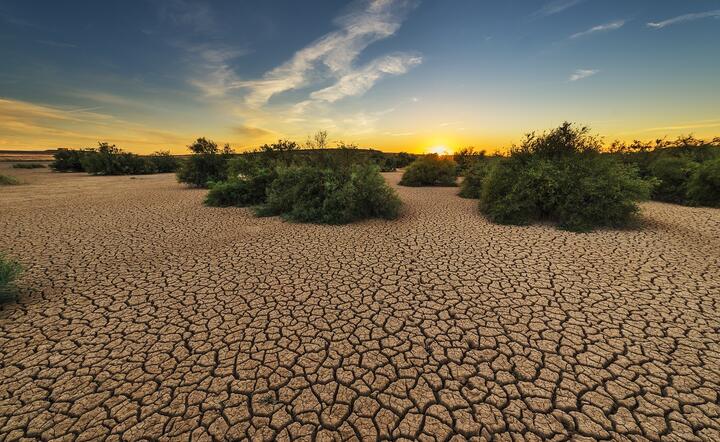 Wszystkie susze, które były do tej pory to nic w porównaniu z tym co nas czeka zdaniem amerykańskich naukowców / autor: Pixabay