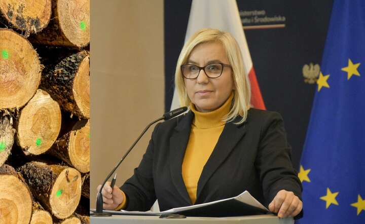 Minister Klimatu Paulina Hennig-Kloska tępi wycinę lasów, choć realnie w Polsce palenie drewnem to 60 proc. całej energii z OZE / autor: Fratria / AS + LS