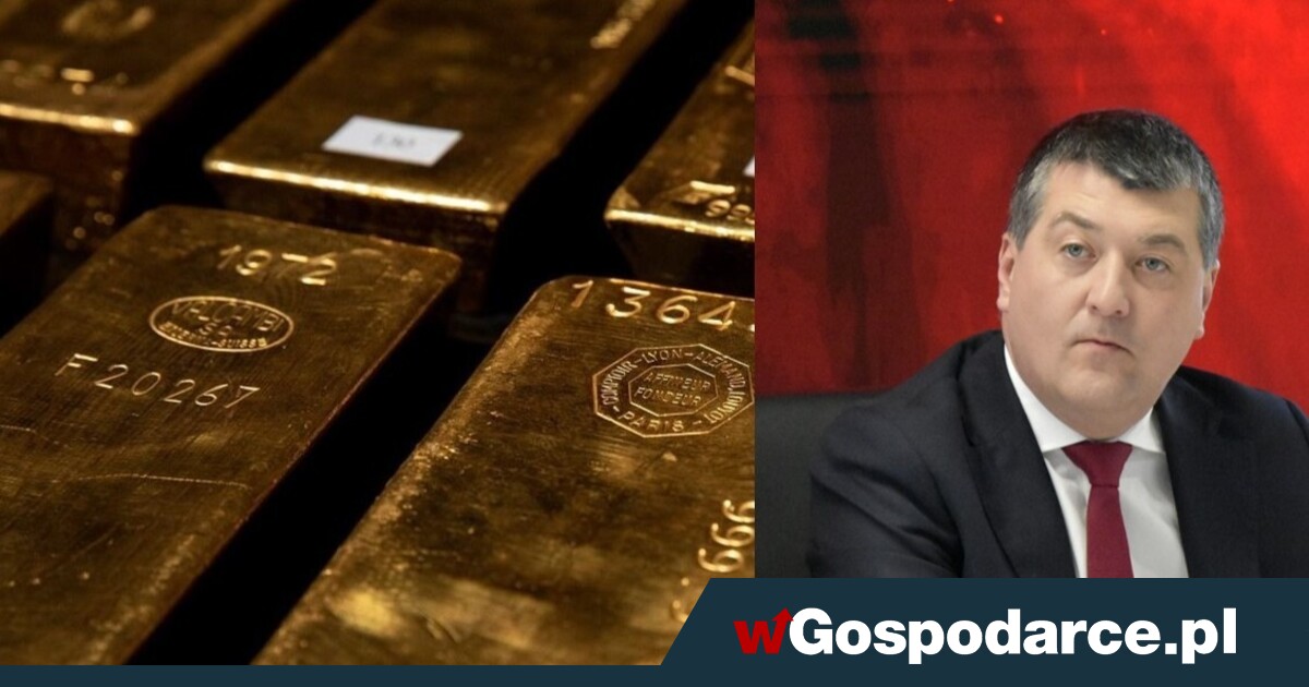 Leszek Skiba: jak zrealizować „polski SAFE 0 proc.”