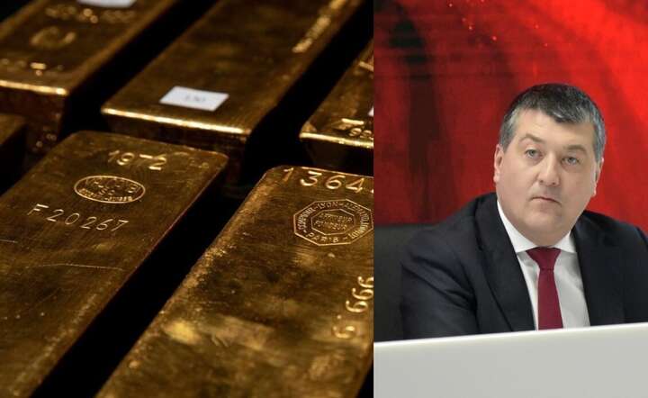 Leszek Skiba prezes Instytutu Sobieskiego i doradca prezydenta ujawnia, jak można sfinansować program "polski SAFE 0 proc." / autor: materiały prasowe NBP / Fratria