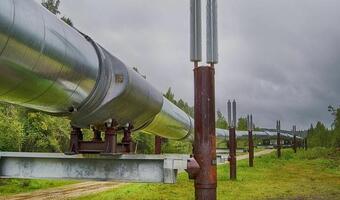 Ukraina gotowa zrekompensować niski przesył gazu przez NS1