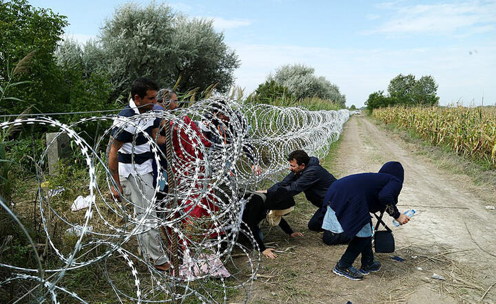 Imigranci na granicy Serbsko-Węgierskiej / autor: Photo: Gémes Sándor/SzomSzed/http://szegedma.hu/hir/szeged/2015/08/migransok-szazai-ozonlenek-roszkerol-szegedre.html Wikimedia Commons