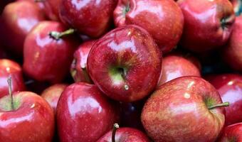 W Broniszach jabłka tańsze niż w ubiegłym roku