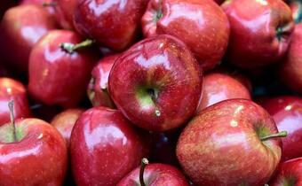 W Broniszach jabłka tańsze niż w ubiegłym roku