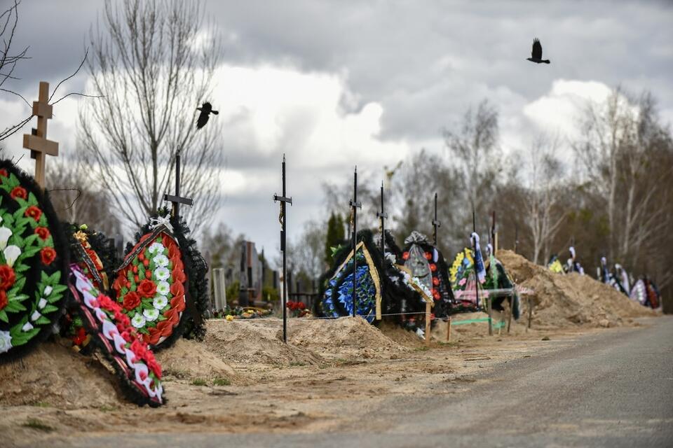 Bucza / autor: PAP/EPA