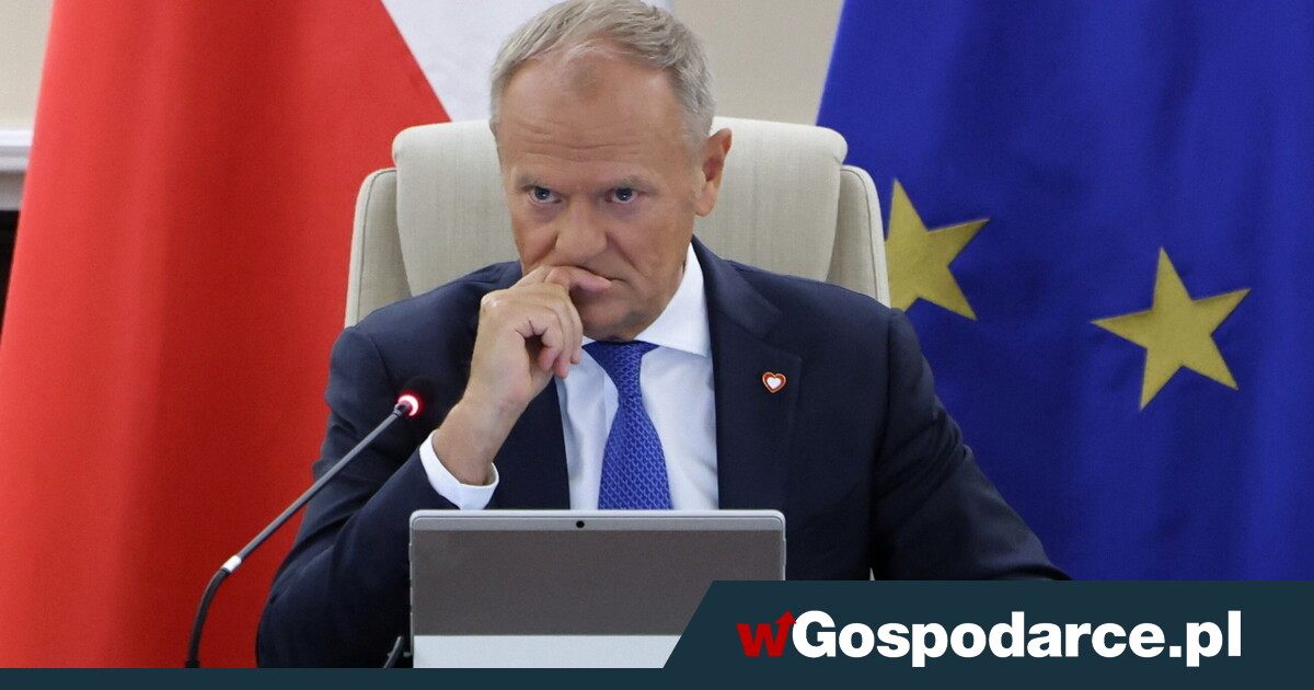 Pieniądze i posady dla polityków KO i ich rodzin