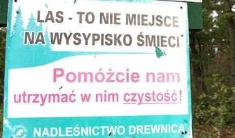 Lasy Państwowe kreatywnie wykorzystały SI