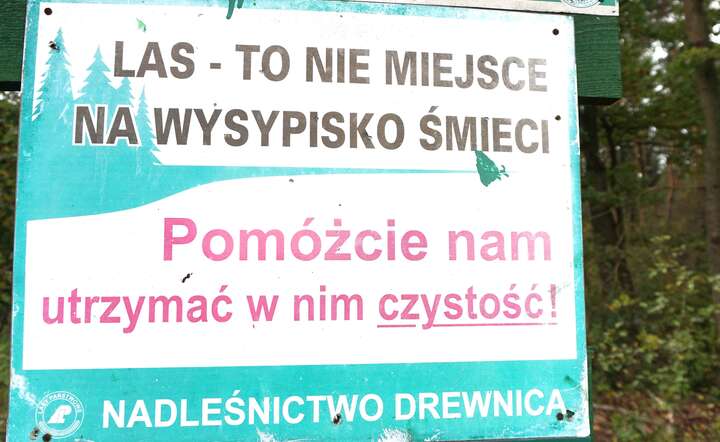 Lasy Państwowe kreatywnie wykorzystały SI